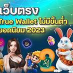 slot ฝากถอน true wallet